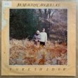 JOE MERCH & CAROL WALLAGE - FORESHADOW[sky hook/us]'80/10trks.LP w/Insert *water stain+ (g++/vg+)