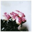 Minuano - Love Logic[be thankful]ltd.Vinyl +bonus track DL postacard (PRE-ORDER/ご予約)