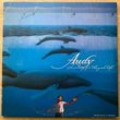 AUDY KIMURA - LOOKING FOR THE GOOD LIFE[epic/Jpn]'85/10trks.LP with Insert *stain wear(vg/ex)