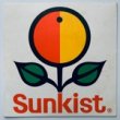 SUNKIST - COME BACK TO YOUR SENSES[sunkist/hol]'6x/2trks.7 Inch (vg+/vg+)  