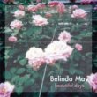 Belinda May(٥ᥤ) - Beautiful Days[fastcut records]3trks.7+DL 1,500ߡ