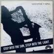 SANDOVAL + SPYE - STEP INTO THE SUN[slick discs/us]'80/9trks.LP *slight wear(vg++/ex+)