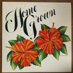 VA - HOME GROWN[kkua records/us]'77/12trks.LP (vg++/vg++)