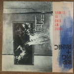 RIP RIC + PANIC - YOU'RE MY KIND OF CLIMATE[virgin]'82/2trks.7 Inch (vg++/vg++) 