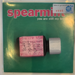 Spearmint - you are still my brother/ʡ