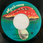 <img class='new_mark_img1' src='https://img.shop-pro.jp/img/new/icons1.gif' style='border:none;display:inline;margin:0px;padding:0px;width:auto;' />RICHARD STEPP - CHASING A DREAM[mushroom/canada]'7x/2trks.7 Inch (vg++)