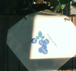 blue-very label 5th anniversary tote bag/졼٥룵ǯǰΥ٥ƥ (FREE)