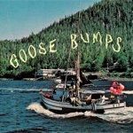 Boyscott - Goose Bumps[topshelf records]ltd.Vinyl LP 
