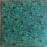 TRUE LOVE ALWAYS - SPRING COLLECTION[teenbeat/us]'01/13trks.LP (ex/ex)