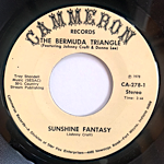 <img class='new_mark_img1' src='https://img.shop-pro.jp/img/new/icons1.gif' style='border:none;display:inline;margin:0px;padding:0px;width:auto;' />BERMUDA TRIANGLE - SUNSHINE FANTASY[cammerun records/us]'78/2trks.7 Inch   (vg++)