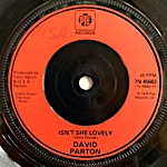 <img class='new_mark_img1' src='https://img.shop-pro.jp/img/new/icons1.gif' style='border:none;display:inline;margin:0px;padding:0px;width:auto;' />DAVID PARTON - ISN'T SHE LOVELY[pye/uk]'76/2trks.7 Inch   (vg++)
