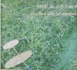 FIVE BEANS CHUP - THE FIRST DAY OF SUMMER[seeds/JPN]10trks. CD