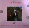 TEMPEST - DIDN'T WE HAVE A NICE TIME[magnet]'86/3trks.12 Inch