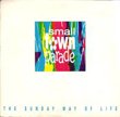 SMALL TOWN PARADE - THE SUNDAY WAY OF LIFE (7