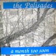 THE PALISADES - A MONTH TOO SOON E.P. (12