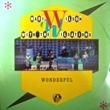 MARI WILSON WITH THE WILSATIONS - WONDERFUL (12