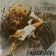THE GYMSLIPS - 48 CRASH (7