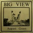 BIG VIEW - AUGUST GRASS[point records]'82/2trks. 7 Inch (ex+/ex+)  