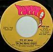 THE SAN MATEO SINGERS - GOOD MORNING NEW DAY[poppy records/us]'68/2trks.7 Inch 