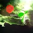 PETER SKELLERN - SKELLERN[MERCURY/uk]'78/10trks.LP