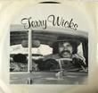 TERRY WICKS - FREEZIN' COLD BLUES[island magic productions/canada]'79/2trks.7 Inch w/PS 
