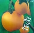 VA - THE BIRTH OF THE TRUE[por supuesto!/Jpn]'92/11trks.CD