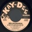MELLOW MADNESS - SAVE THE YOUTH (KENNY DOPE MIX) [kay-dee records/us]'07/2trks.7 Inch company slv.