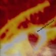 VA - THE BIRTH OF THE TRUE II[por supuesto!]'93/13trks.CD