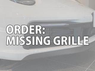 ZUNSPORT / MISSING GRILLE ʶ롦ʸڡ