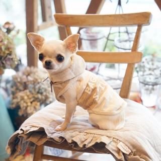 outlet アウトレット - 「ブルーブルーブルー blue bleu bleue」東京