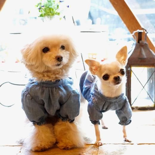 全てのアイテム ギャザーフレンチブラウス(ID) blue 「ブルーブルーブルー - 犬服・アクセサリー