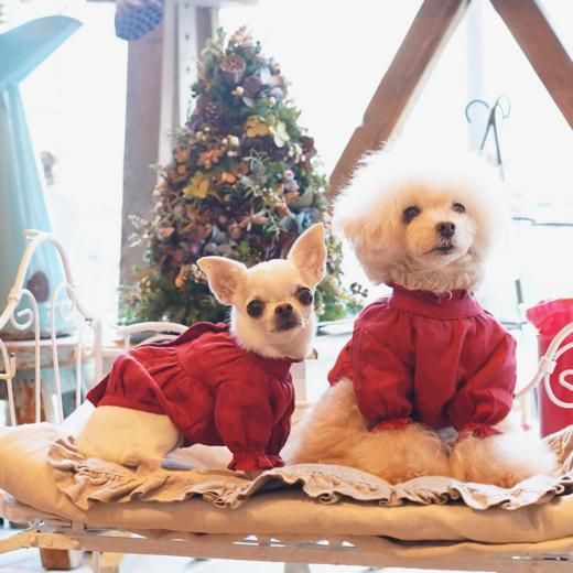 ギャザーフレンチブラウス(RD) - 「ブルーブルーブルー blue