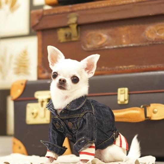 blue bleu bleue リネンデニム・ジャンスカ　新品 blue bleu bleue リネンデニム・ジャンスカ新品