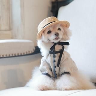ѡ˥塦֥饦<img class='new_mark_img2' src='https://img.shop-pro.jp/img/new/icons58.gif' style='border:none;display:inline;margin:0px;padding:0px;width:auto;' />