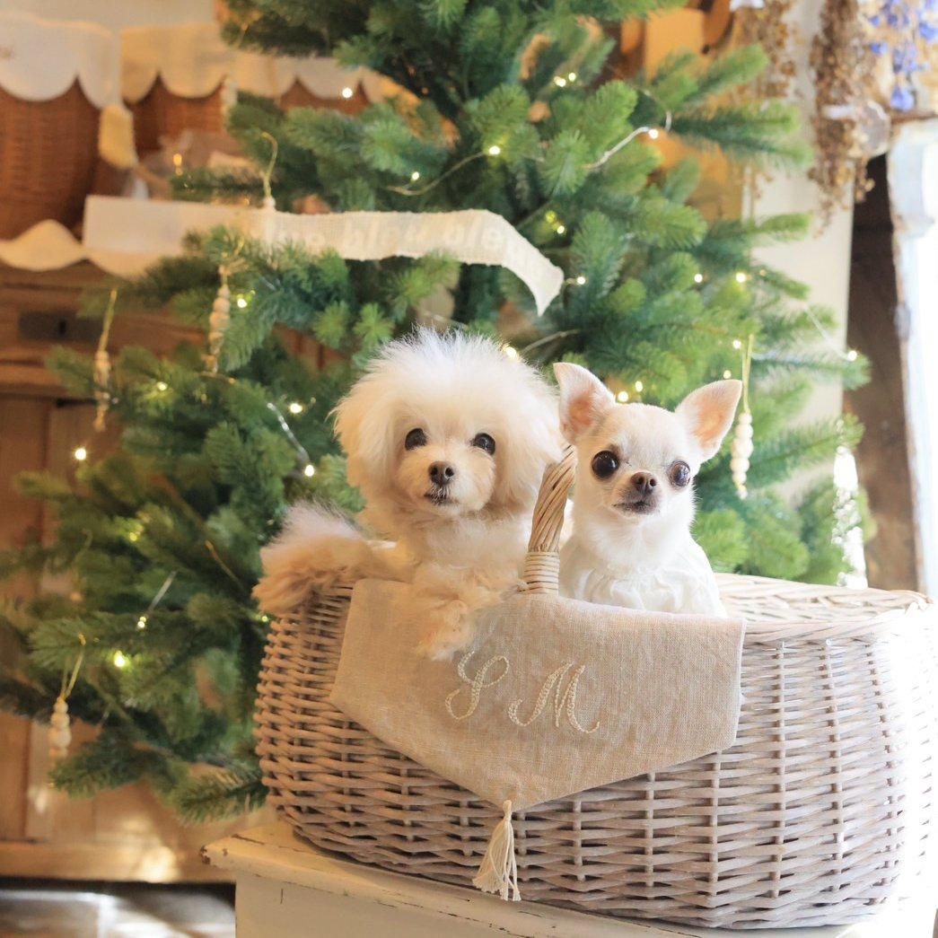 世界的に ワンハンドルバスケット・スタイ・イニシャル刺繍 「ブルー - 犬服・アクセサリー