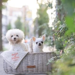 blue-bleu-bleue ブルーブルーブルー ストライプキャリーバック フレンチストライプ・キャリーバッグ - 「ブルーブルーブルー