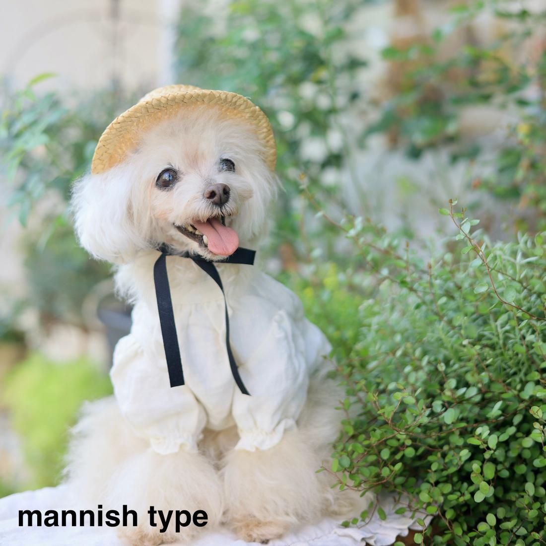 クー・ドゥ・ピエcoup de piedロマンティックな麦わら帽子犬柄