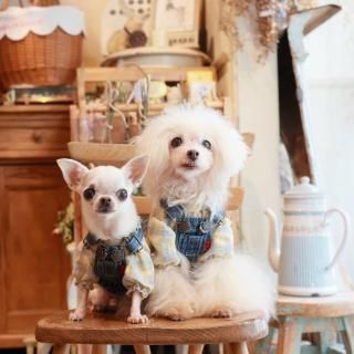 ͥǥ˥ࡦ󥹥<img class='new_mark_img2' src='https://img.shop-pro.jp/img/new/icons6.gif' style='border:none;display:inline;margin:0px;padding:0px;width:auto;' />