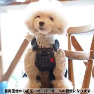 ͥǥ˥ࡦС<img class='new_mark_img2' src='https://img.shop-pro.jp/img/new/icons6.gif' style='border:none;display:inline;margin:0px;padding:0px;width:auto;' />