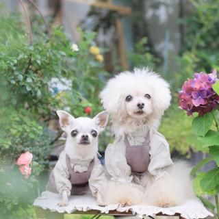 ץ󥸥󥹥MO<img class='new_mark_img2' src='https://img.shop-pro.jp/img/new/icons6.gif' style='border:none;display:inline;margin:0px;padding:0px;width:auto;' />