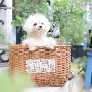 basket バスケット - 「ブルーブルーブルー blue bleu bleue