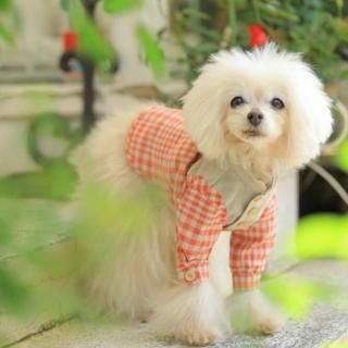 եޡ֥饦쥮顼åͽѡ<img class='new_mark_img2' src='https://img.shop-pro.jp/img/new/icons6.gif' style='border:none;display:inline;margin:0px;padding:0px;width:auto;' />