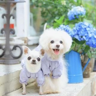 ե㥶֥饦LI)ͽѡ<img class='new_mark_img2' src='https://img.shop-pro.jp/img/new/icons6.gif' style='border:none;display:inline;margin:0px;padding:0px;width:auto;' />
