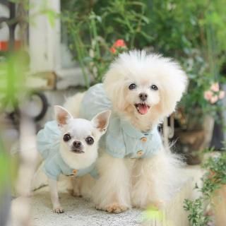 դ֥饦<img class='new_mark_img2' src='https://img.shop-pro.jp/img/new/icons49.gif' style='border:none;display:inline;margin:0px;padding:0px;width:auto;' />