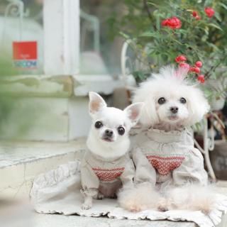 vetements 洋服 - 「ブルーブルーブルー blue bleu bleue」東京 駒沢に