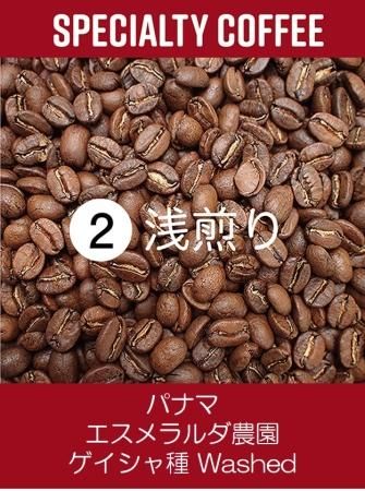 パナマ エスメラルダ農園 ゲイシャ Washed 100g - TINY パナマ エスメラルダ農園 ゲイシャ Washed 100g - TINY