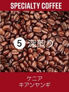 ˥󥮡Washed200g<img class='new_mark_img2' src='https://img.shop-pro.jp/img/new/icons59.gif' style='border:none;display:inline;margin:0px;padding:0px;width:auto;' />