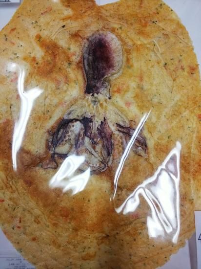 たこプレスせんべいセット - 厚木プレス SENBEI ~大きなお たこプレスせんべいセット - 厚木プレス SENBEI ~大きなお