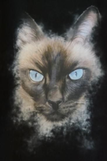 Maison MIHARA YASUHIRO CAT PRINTED TEE(J15TS762)BLK