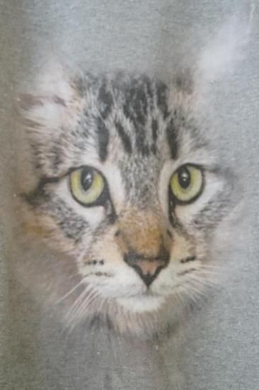 Maison MIHARA YASUHIRO CAT PRINTED PULLORVER(J15PO742)